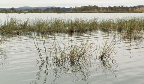 Lagoon Circuit Walking Track - Accommodation Perth 3