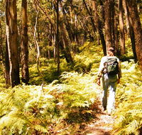 Federal Pass - Accommodation Perth