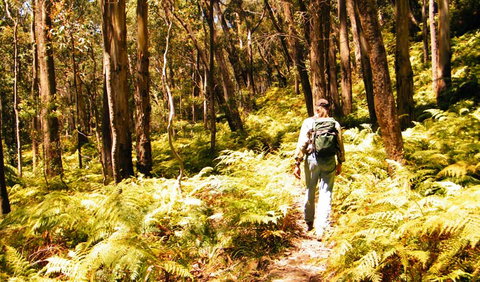 Federal Pass - Perth Resorts 0