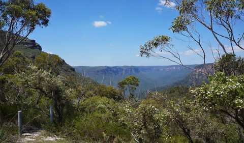 Mount Banks Road Cycle Route - Perth Resorts 2