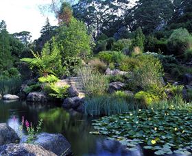 Blue Mountains Botanic Garden - Accommodation Perth 1