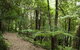 Blue Mountains Botanic Garden - thumb 3