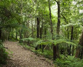 Blue Mountains Botanic Garden - Accommodation Perth 3