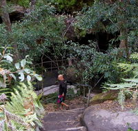 Leura Cascades Fern Bower - Accommodation Perth