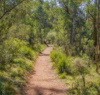 Mares Forest Creek walking track - Accommodation Perth