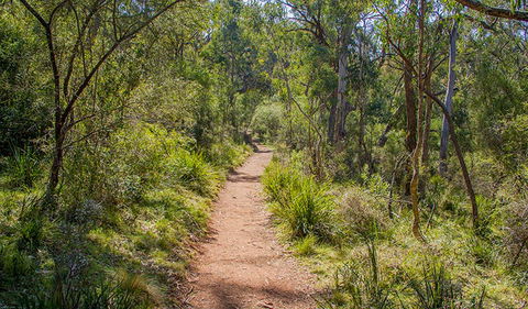 Mares Forest Creek Walking Track - Accommodation Perth 0