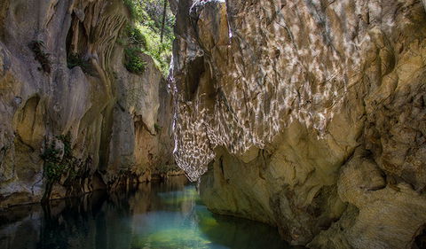 Mares Forest Creek Walking Track - Accommodation Perth 2