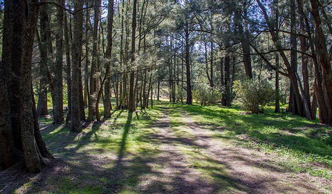 Wombeyan Waterfall Walking Track - Accommodation Perth 0