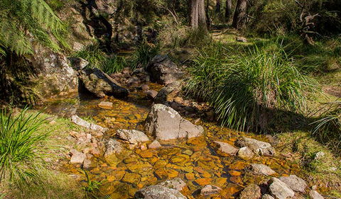 Wombeyan Waterfall Walking Track - Accommodation Perth 1