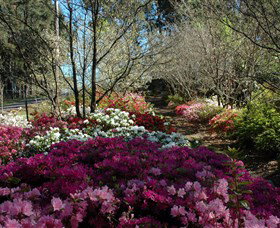 Wildwood Garden - Accommodation Perth 2