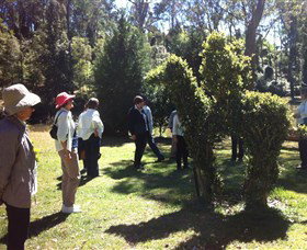 Wildwood Garden - Accommodation Perth 3