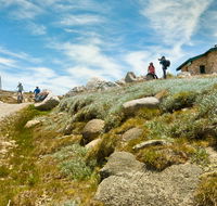 Mount Kosciuszko Summit walk - Accommodation Perth