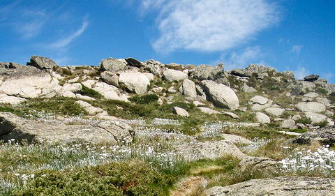 Mount Stillwell Walk - Accommodation Perth 1