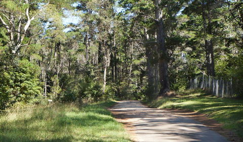 McMahon's Point Ride - Wentworth Falls - Accommodation Perth 2