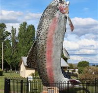 Big Trout - Accommodation Perth