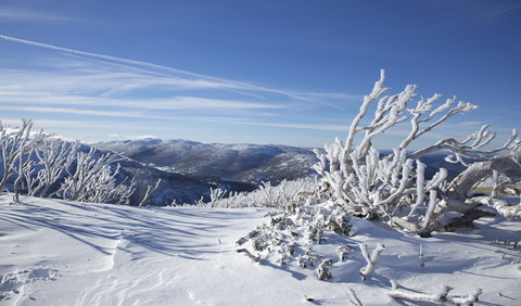 Rock Creek Snowshoe Track - Accommodation Perth 0