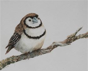 Bungendore Fine Art - Perth Resorts 1