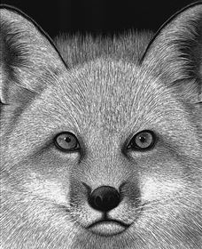 Bungendore Fine Art - Perth Resorts 2