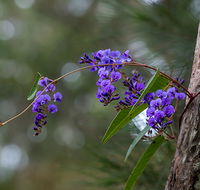 Mann River Nature Reserve - Accommodation Perth