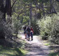Syd's Rapids and Aboriginal Heritage Trail Avon Valley - Accommodation Perth