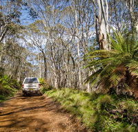 Barrington trail - Accommodation Perth