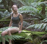 Barrington Tops National Park - Honeysuckle Forest Track - Accommodation Perth