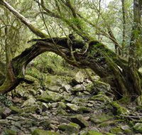 Mitchell River Walking Track - Accommodation Perth