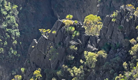 Bungonia National Park - Accommodation Perth 2