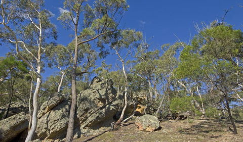 Bungonia National Park - Accommodation Perth 3