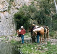Yarramba Horse Riding - Accommodation Perth