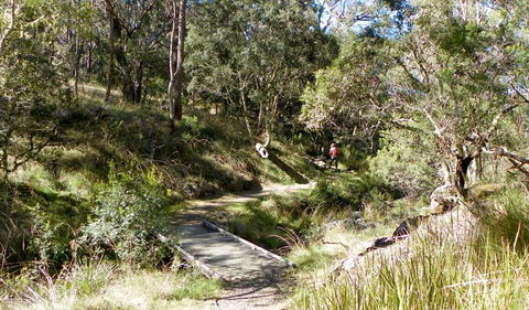 Wollomombi Walking Track - Perth Resorts 0