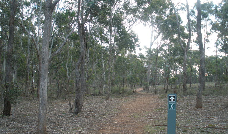  Accommodation Perth