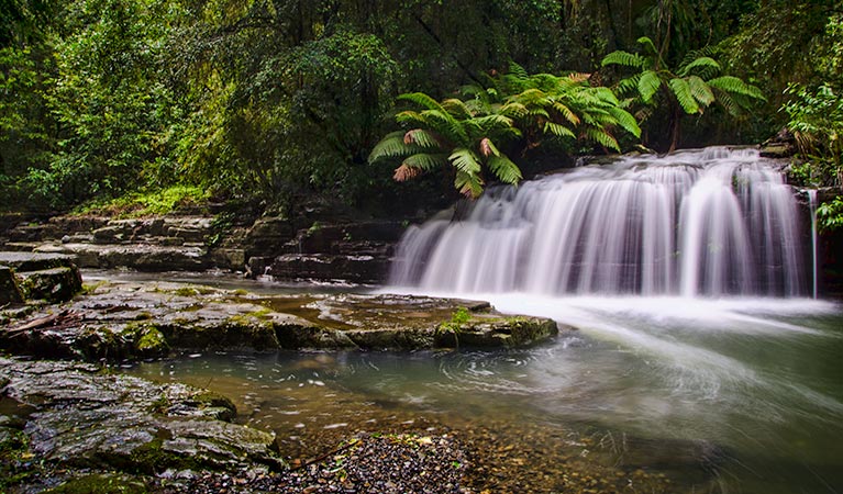 Hanleys Creek NSW Accommodation Perth