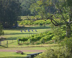 Wollombi Wines - Accommodation Perth 8