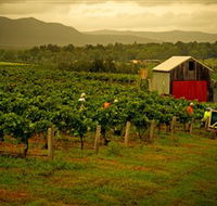 Around Hermitage Wine and Food Trail Hunter Valley - Accommodation Perth