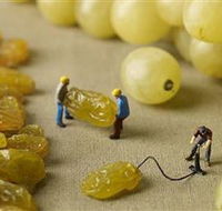 Hunter Valley Wine School - Accommodation Perth