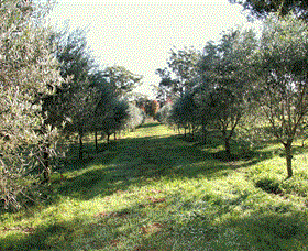 Langdale Farm - Accommodation Perth