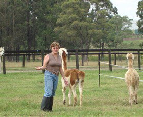Langdale Farm - Accommodation Perth 4