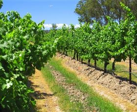 Misty Glen Wines And Cottage - Accommodation Perth 1