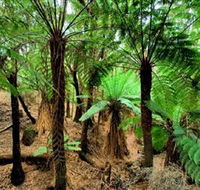 Pegarah Private Nature Reserve  Parenna Place - Perth Resorts