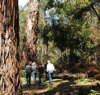 Tallaganda National Park - Perth Resorts