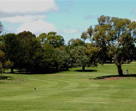Cooma Golf Club - Accommodation Perth 1