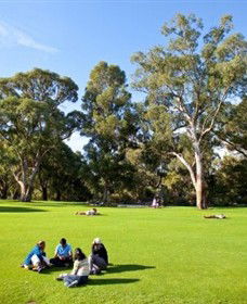 Kings Park And Botanic Garden - Accommodation Perth 1