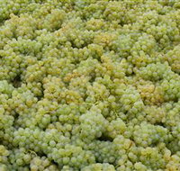 Normanby Wines - Accommodation Perth
