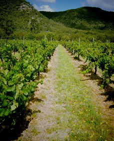 Gartelmann Wines - Accommodation Perth 0