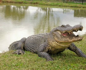 Hunter Valley Zoo - Accommodation Perth 1