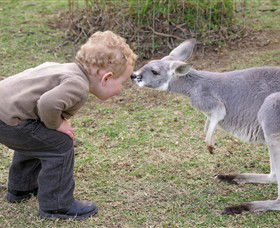 Hunter Valley Zoo - Accommodation Perth 3