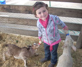 Hunter Valley Zoo - Accommodation Perth 4