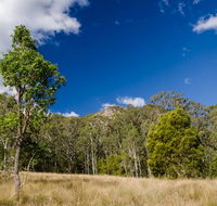Brush Turkey track - Accommodation Perth