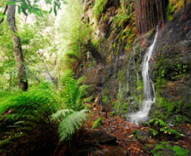 Fairy Bower Falls - Accommodation Perth 0